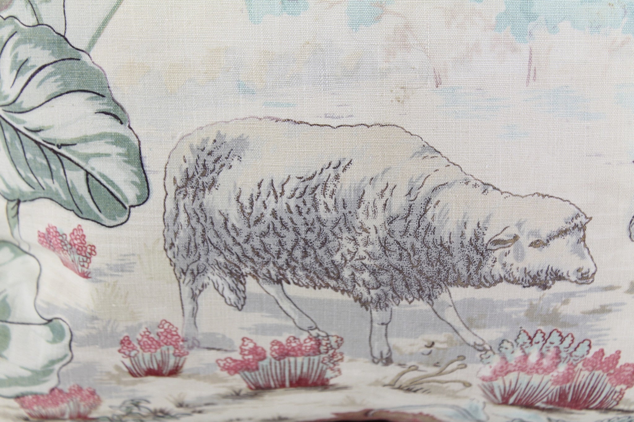 Moutons Toile
