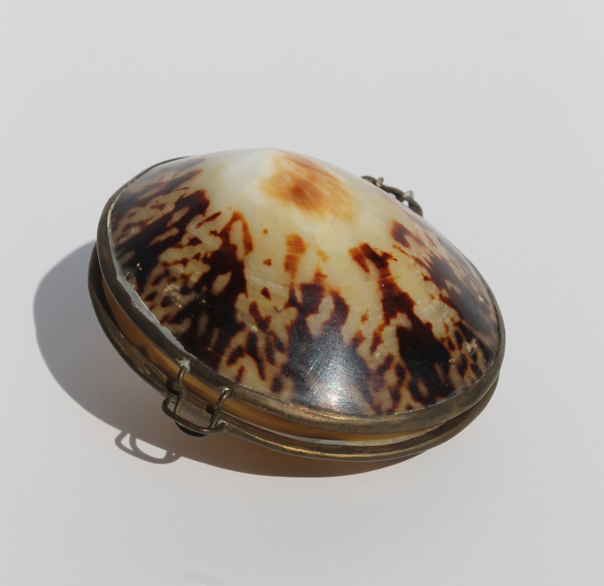 Vintage Shell Box | Camel & Grey