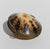 Vintage Shell Box