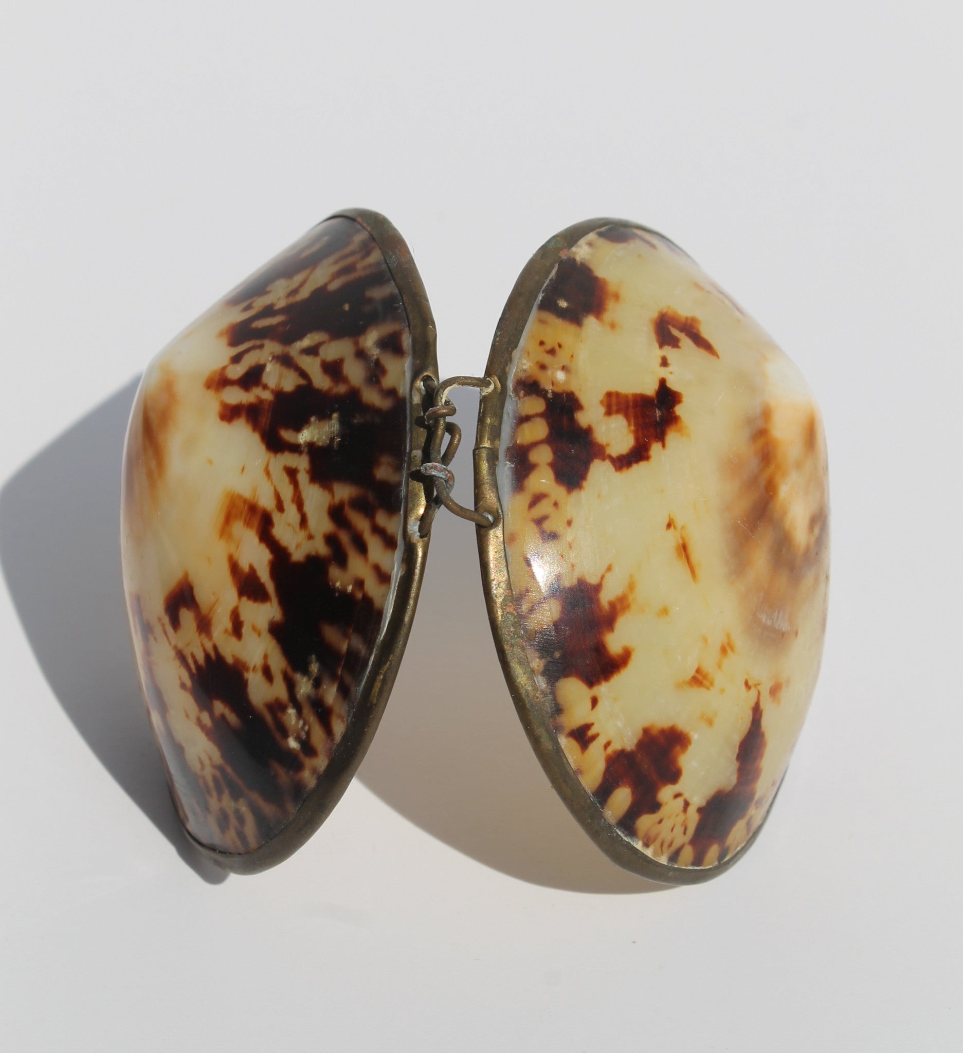 Vintage Shell Box