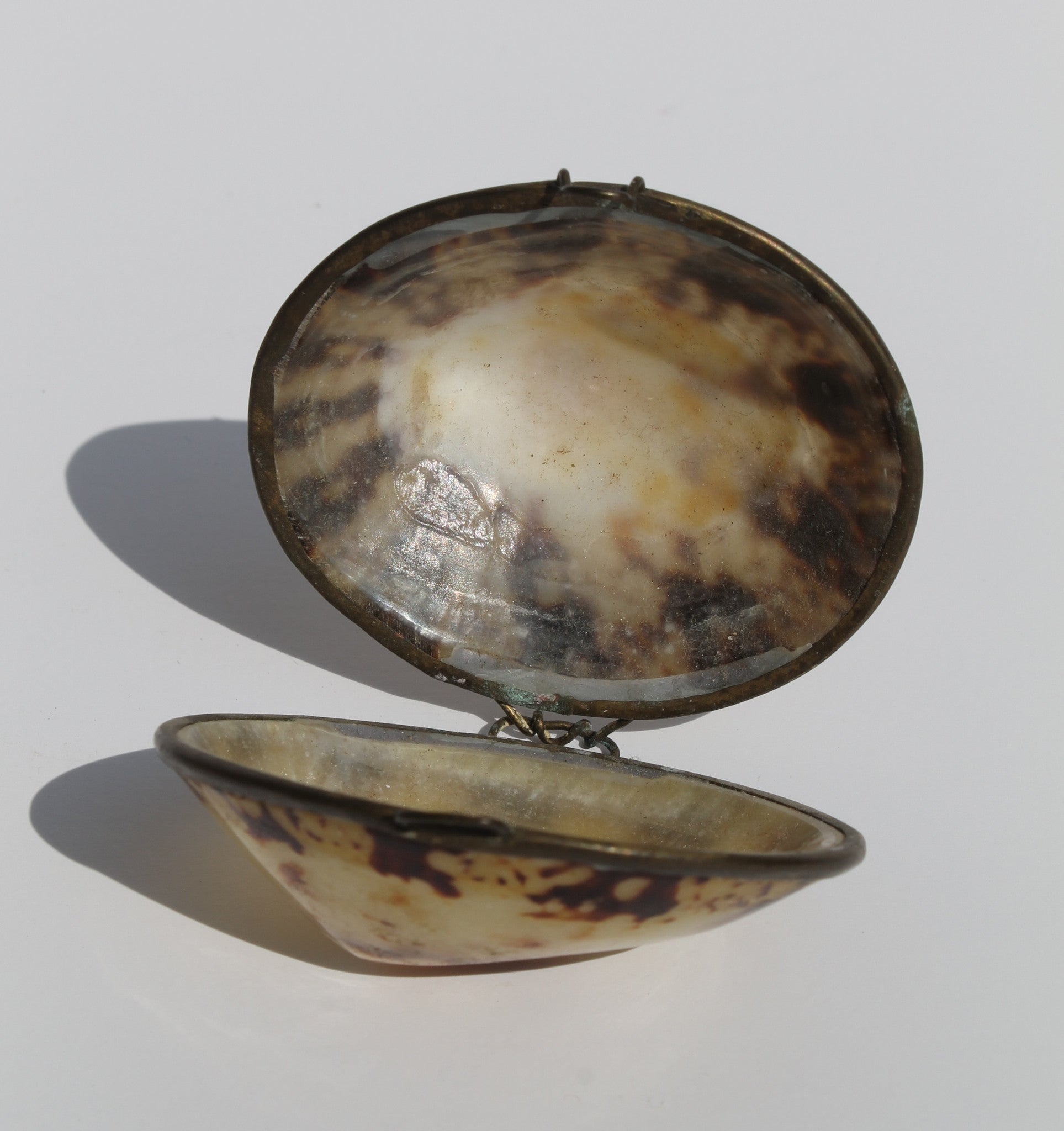 Vintage Shell Box | Camel & Grey